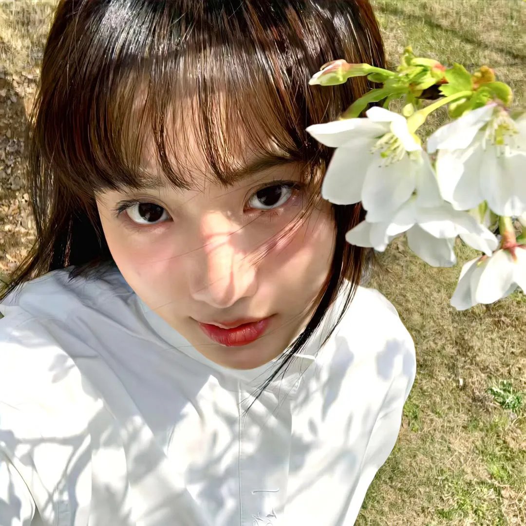 寅次郎的故事44：寅次郎的告白